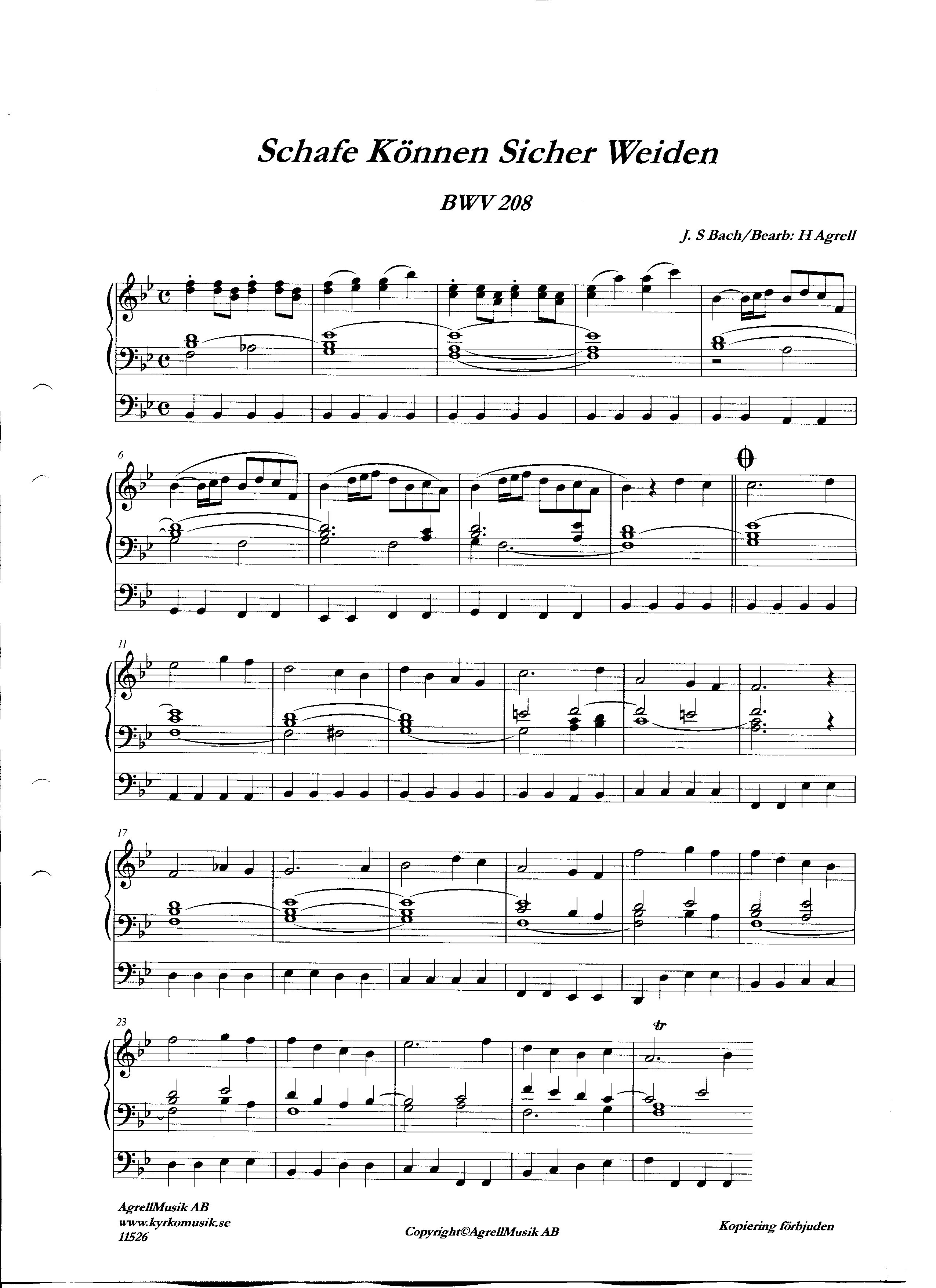 Schafe Können Sicher Weiden / Sheep